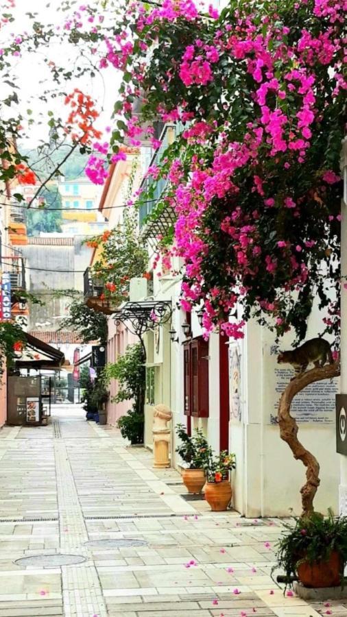 Αυλή Apartment Nauplion Exterior foto